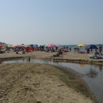 Torvajanica_fosso_Crocetta_20150705_101945